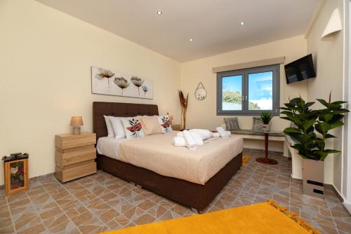 Horizon Sky House with view