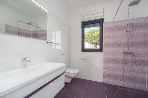 ein Bad mit einem Waschbecken, einem WC und einer Dusche in der Unterkunft Villa Antonina in Filipac