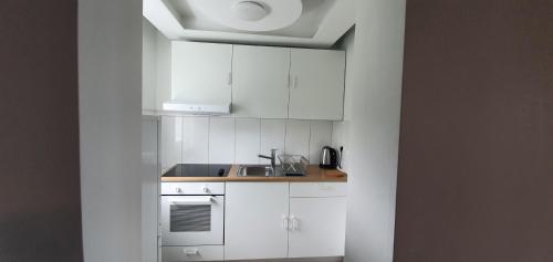 柯尼希斯溫特的住宿－Bonn/Königswinter ferienwohnung，厨房配有白色橱柜和水槽