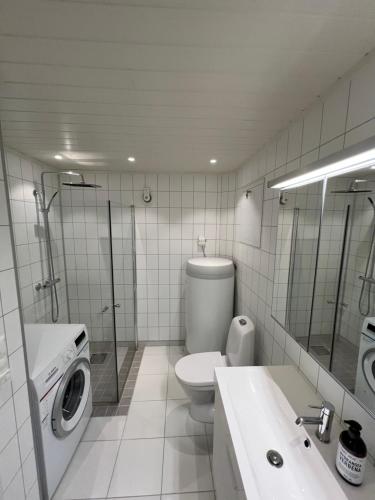 a bathroom with a toilet sink and a washing machine at Sennesvik Apartments Lofoten in Sennesvik