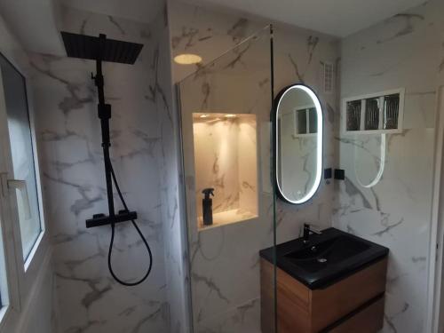 uma casa de banho com um lavatório e um espelho em Bel appartement entier, privé 5 Mn de Metz em Longeville-lès-Metz