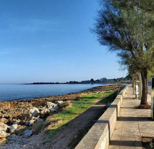 Paesaggio naturale nelle vicinanze della casa vacanze