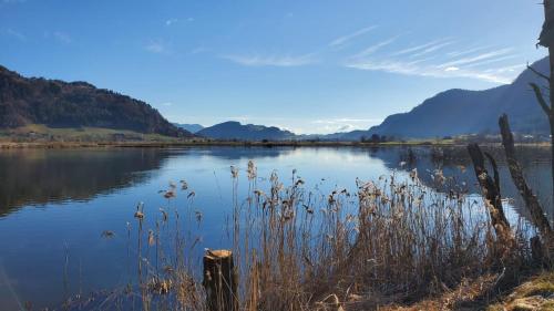 a body of water with mountains in the background at kleines Seeglück in Feldkirchen in Kärnten