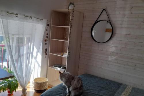 Photo de la galerie de l'établissement Grande maison avec jardin vu sur la rance, à Saint-Père