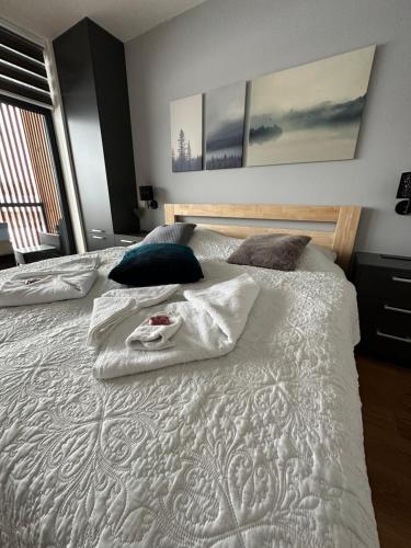 Postel nebo postele na pokoji v ubytování Rodinný apartmán Čeladná 6 osob