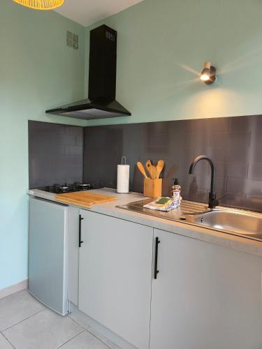 une cuisine avec un évier et un plan de travail dans l'établissement LE GARDEN CENTRAL STUDIO, à Dinan