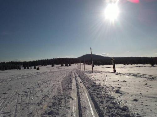 a snow covered road with the sun in the sky at Chata Marta in Boží Dar
