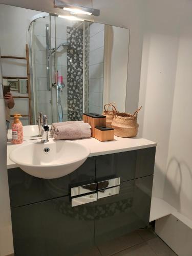 une salle de bain avec un lavabo et un miroir dans l'établissement LE GARDEN CENTRAL STUDIO, à Dinan