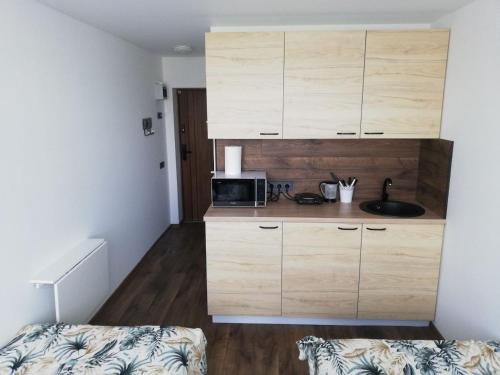 una pequeña cocina con fregadero y microondas en Bridge Apartments Klaipeda, en Klaipėda
