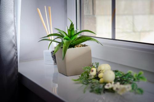 Fotografie z fotogalerie ubytování Gyógyvölgy apartman v destinaci Egerszalók