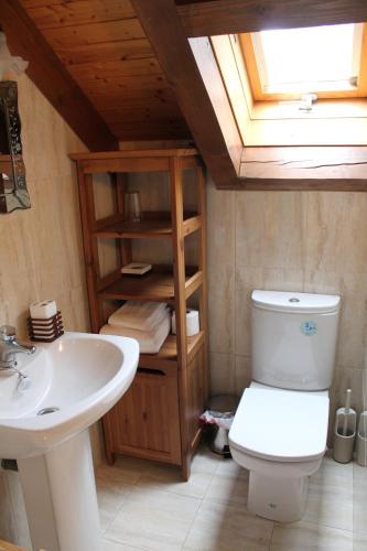 a bathroom with a white toilet and a sink at Casa Rural Anie in Isaba