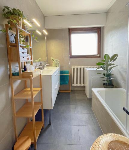 une salle de bain avec un lavabo et une baignoire dans l'établissement Appartement Très Cosy à 5 min Aéroport Genève, à Ferney-Voltaire