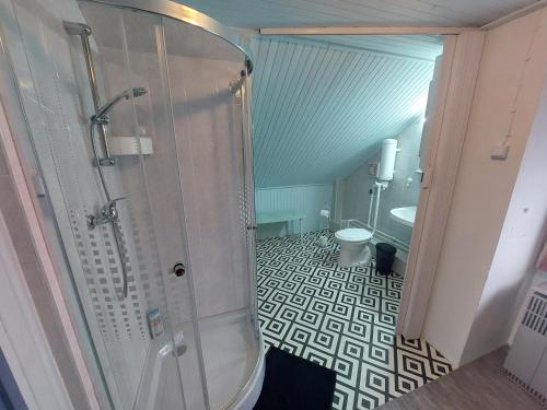 a bathroom with a shower and a toilet at Karos Vintage House in Zalakaros