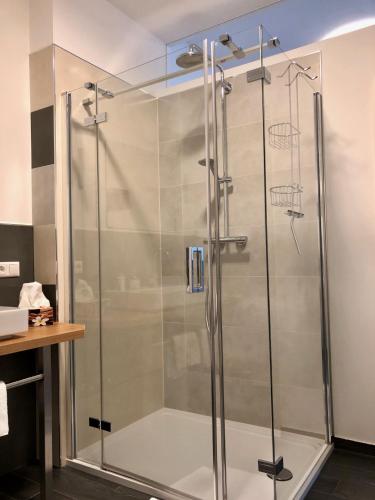 a shower with a glass door in a bathroom at Das Logierhaus in Bad Alexandersbad