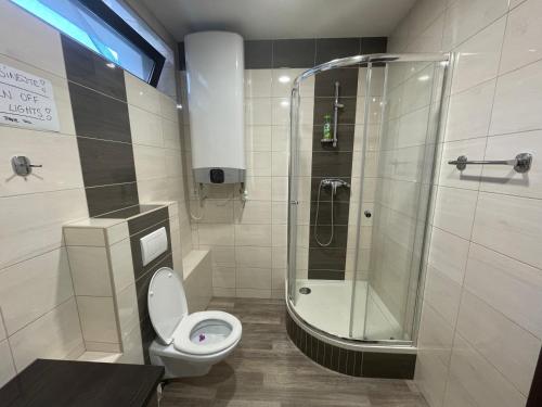 a bathroom with a toilet and a glass shower at Apartmán Ateliér in Kadaň