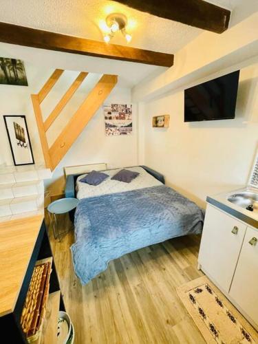 une chambre avec un lit et un lavabo dans l'établissement Charmant studio rénové et équipé, à Hettange-Grande