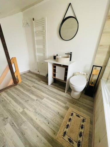une salle de bain avec toilettes, lavabo et miroir dans l'établissement Charmant studio rénové et équipé, à Hettange-Grande