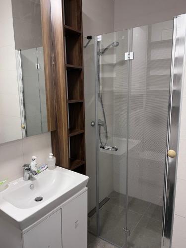 a bathroom with a glass shower and a sink at SkyView Apartment in Sarajevo