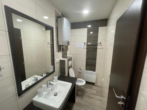ein Badezimmer mit einem Waschbecken, einem WC und einem Spiegel in der Unterkunft Apartmán Ateliér in Kadaň