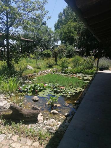 un jardín con un estanque con lirios. en Landhaus 