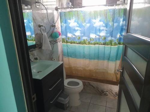 uma casa de banho com uma cortina de chuveiro, um WC e um lavatório. em Caracoles Breeze Apartments em Islote