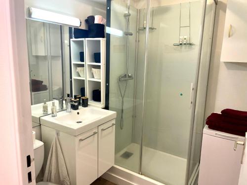a white bathroom with a shower and a sink at Chez Sandra et Rach in Toulouse