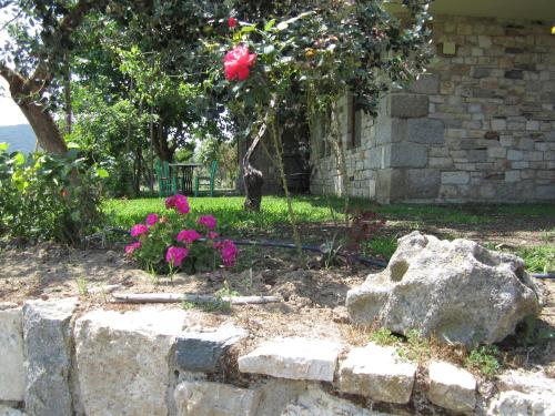 Κήπος έξω από το Τhanassis house
