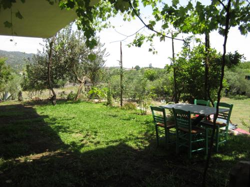 Φυσικό τοπίο κοντά σε αυτό το διαμέρισμα