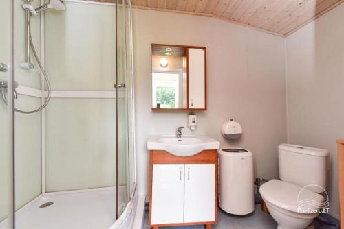 a bathroom with a sink and a shower and a toilet at Klumpes Malunas in Vosbutai