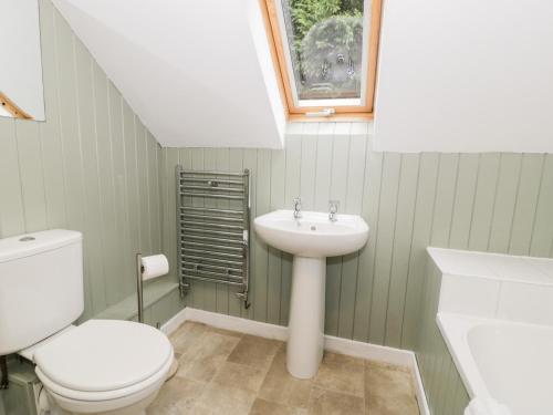 a bathroom with a toilet and a sink at 2 Pant Heulog in Dyffryn
