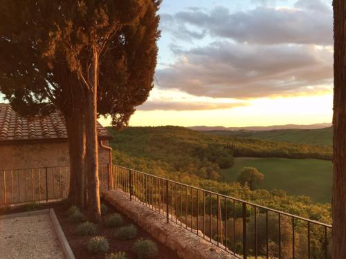 a view from a house with a tree and a fence at Monastero Sant'Anna in Camprena in Pienza