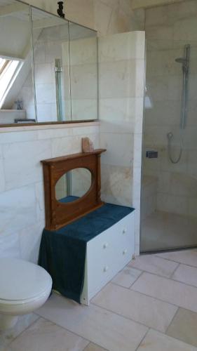 La salle de bains est pourvue de toilettes et d'une douche avec un miroir. dans l'établissement De Geheime Tuin - Uitzicht, à Epe