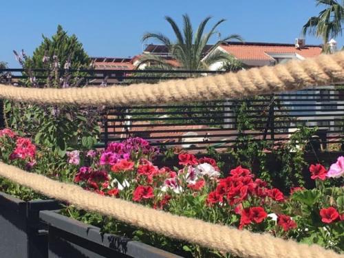 a bunch of flowers in a garden with ropes at On Oda Oludeniz in Oludeniz