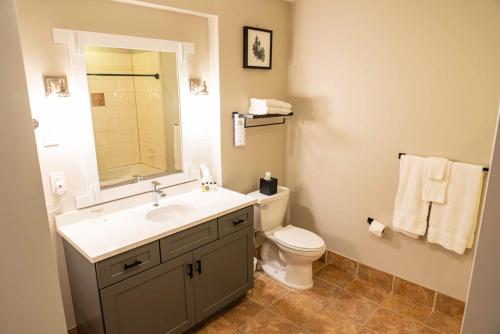a bathroom with a sink and a toilet and a mirror at The Appalachian at Mountain Creek in Vernon