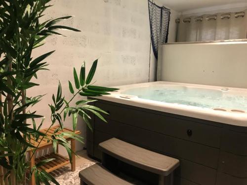 un jacuzzi en un baño con una planta en Hector's House en Aviemore