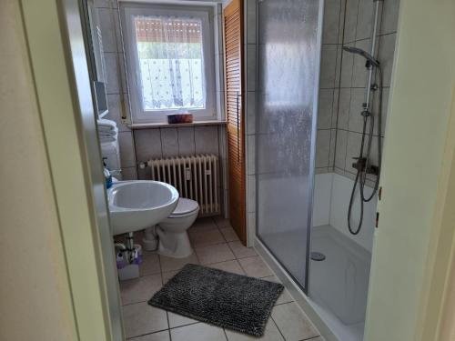 a bathroom with a shower and a toilet and a sink at Ferienwohnung Mohnblume 