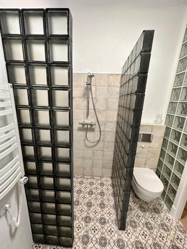 a bathroom with a shower and a toilet in it at Šiauliai CENTER Višinskio NEW self check In in Šiauliai