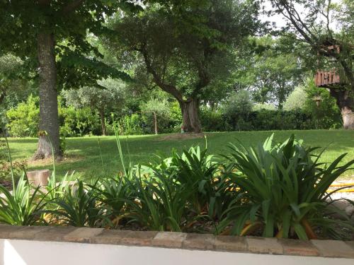a park with trees and grass and plants at Casa Sant Angelo in Pesaro