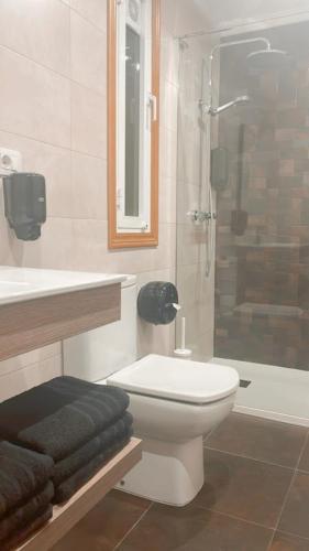 a bathroom with a toilet and a sink and a shower at Casa Pazos, Pedrafita do Cebreiro in Piedrafita