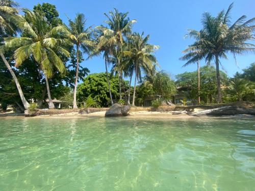 a beach with palm trees in the water at Koh Mak White Sand Beach in Ko Mak