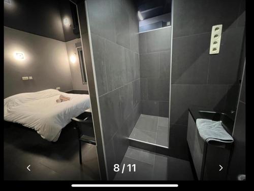 uma pequena casa de banho com um chuveiro e uma cama em Logements des choraux em Tournai
