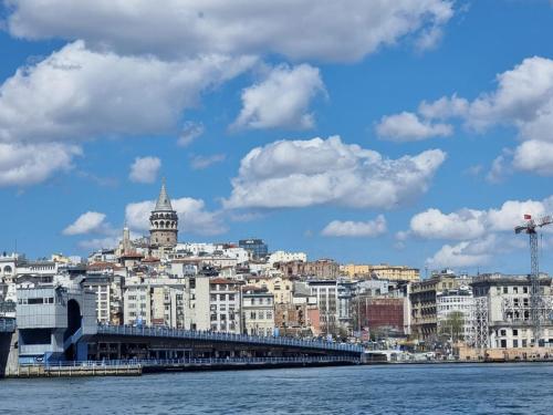- une vue sur une ville avec un pont sur l'eau dans l'établissement Yasin Apart hotel, à Istanbul