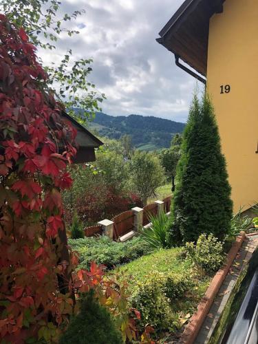 a garden with plants and trees and a house at Willa Limba in Krościenko