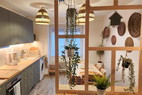 une cuisine avec beaucoup de plantes sur le mur dans l'établissement Maison (gite) Le Petit Plasne dans le Jura, à Plasne