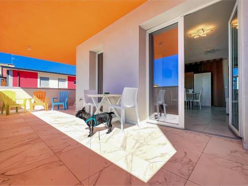 a living room with a dog sitting on a rug at Zeus in Bibione