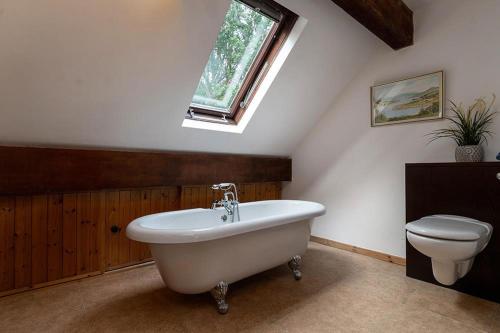 a bathroom with a tub and a toilet and a window at Hafod Rowen in Llangelynin
