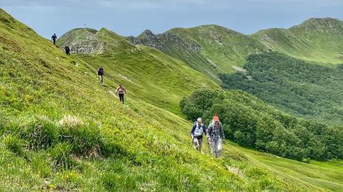 a group of people walking up a grassy hill at Villa Belvedere in Pieve Fosciana