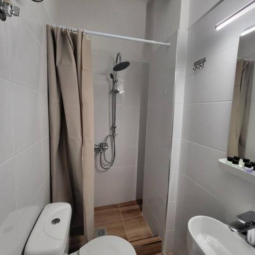 a bathroom with a shower and a toilet and a sink at COSY APARTMENT IN VERIA in Veria