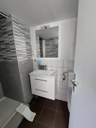een badkamer met een wastafel, een douche en een toilet bij Apartment Trubarjeva33, near Ljubljana, free parking in Velike Lašče