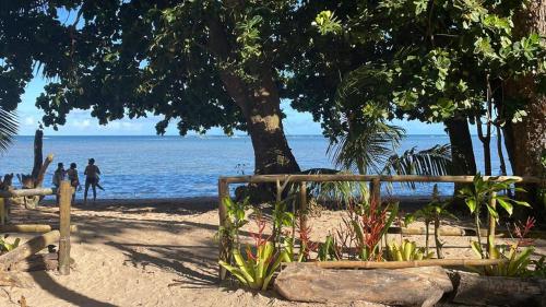 - une plage avec un arbre et des personnes marchant sur la plage dans l'établissement Quarto em frente à praia de Moreré, à Moreré